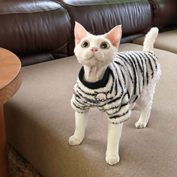 Zimska topla vesta za bezdlaku mačku (Sphynx, Devon Rex)
