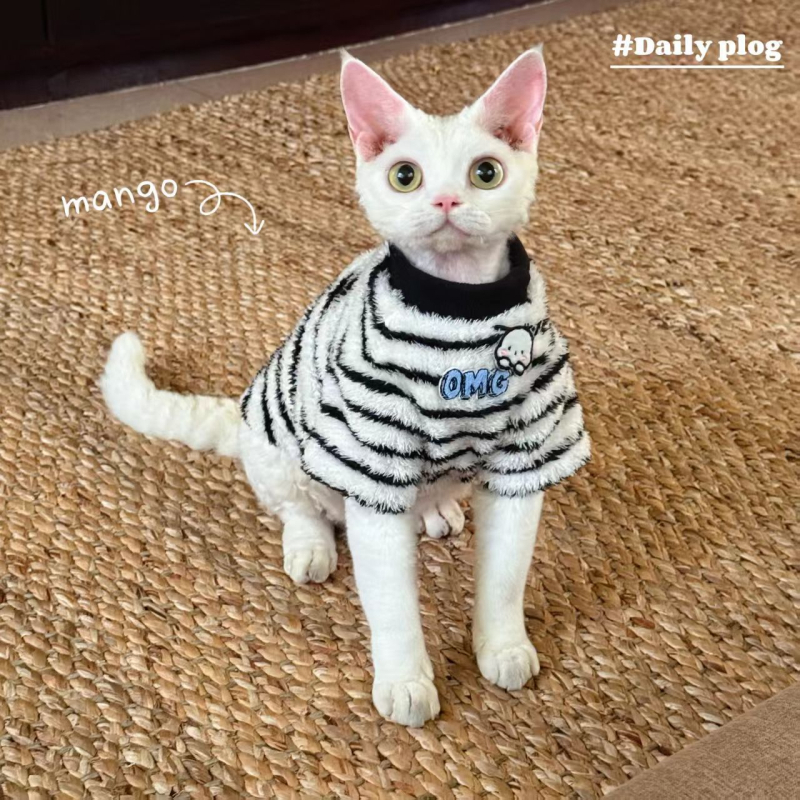 Zimska topla vesta za bezdlaku mačku (Sphynx, Devon Rex)