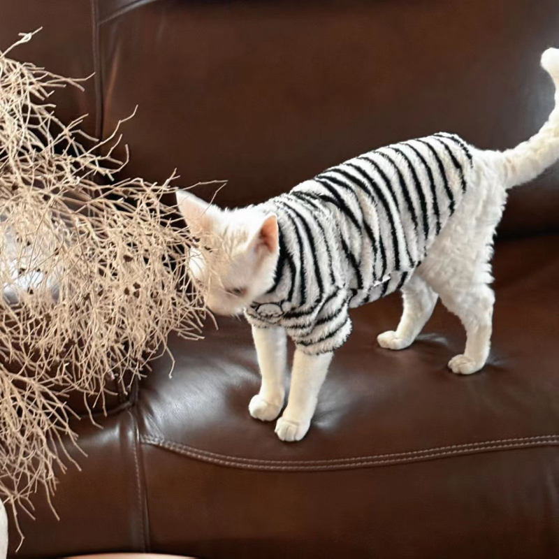 Zimska topla vesta za bezdlaku mačku (Sphynx, Devon Rex)
