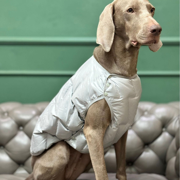 Beou pamučna zimska jakna za kućne ljubimce – Casual stil, odjeća za kućne ljubimce