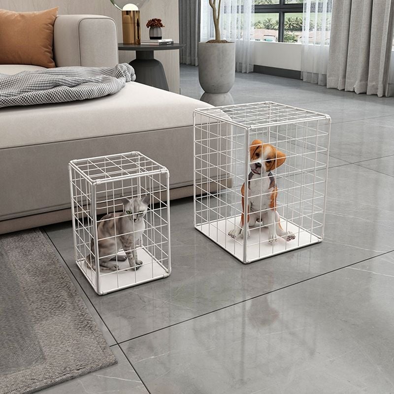 Κλουβί γάτας από σιδερένιο υλικό, για εσωτερική χρήση, για όλες τις εποχές, μάρκα Simple One