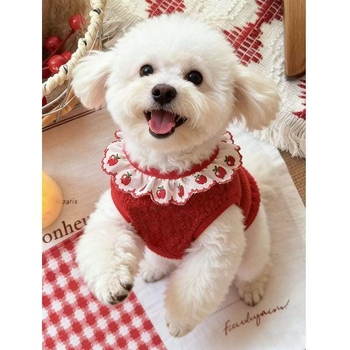 Odjeća za kućne ljubimce — Casual stil, Jesen, Model 231, Univerzalno