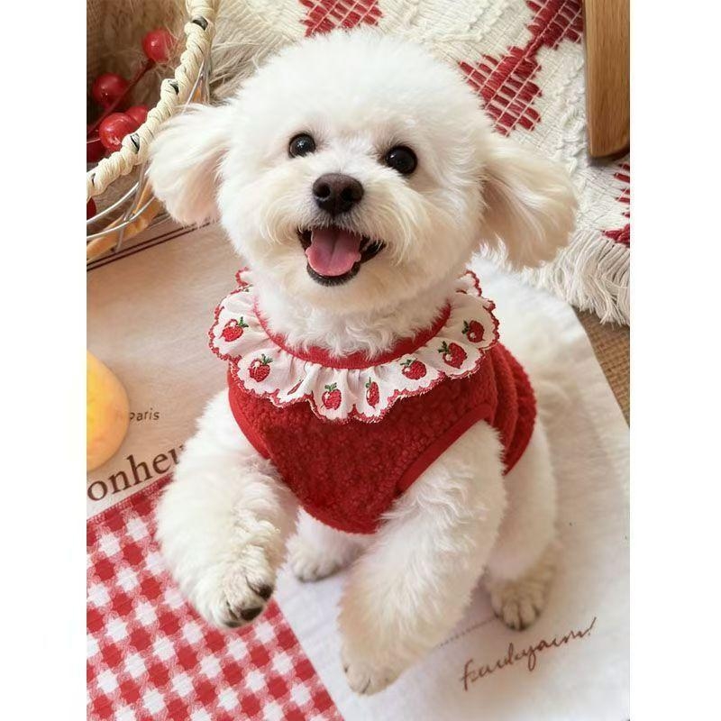 Odjeća za kućne ljubimce — Casual stil, Jesen, Model 231, Univerzalno