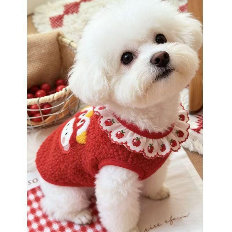 Odjeća za kućne ljubimce — Casual stil, Jesen, Model 231, Univerzalno