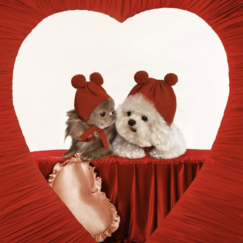 Kapica za kućne ljubimce od vune sa vunenom kuglom – monohromatski twill jacquard pulover, za sva četiri godišnja doba