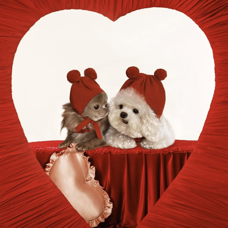 Kapica za kućne ljubimce od vune sa vunenom kuglom – monohromatski twill jacquard pulover, za sva četiri godišnja doba