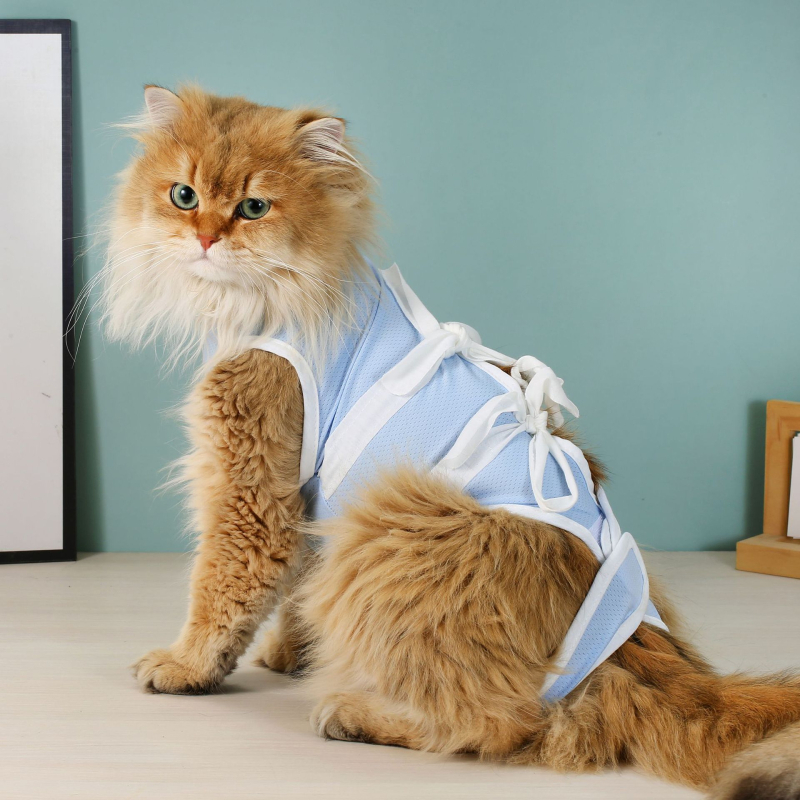 Mačja postoperativna vest, kirurški kostim, poliester, Blues Cat, za ženke mačaka