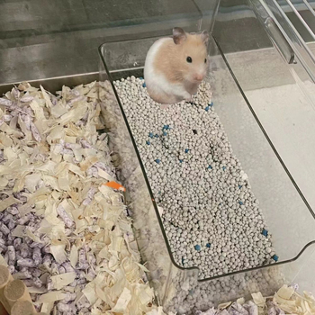 Dvostruka hamster kupaonica i toalet s pijeskom
