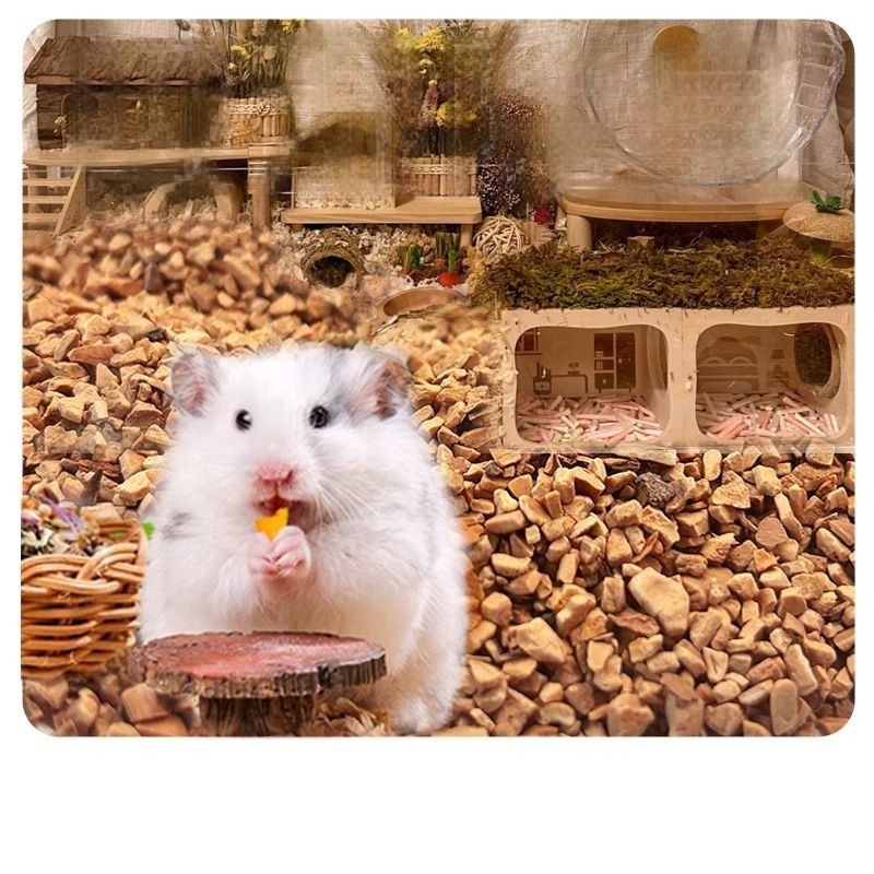 Dezodorantný podklad pre škrečky s orieškovým pieskom a pilinami z papiera a bavlny – Golden Bear