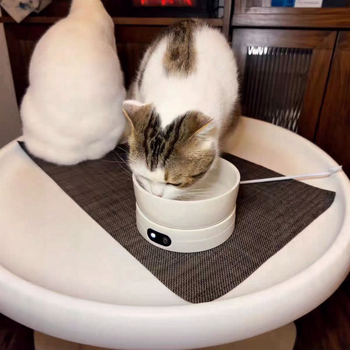 Έξυπνο κεραμικό θερμαινόμενο ποτιστικό για γάτες με σταθερή θερμοκρασία και αντιδιαρροικό σχέδιο