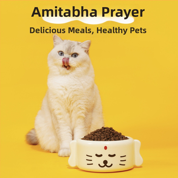 Κεραμικό μπολ για γάτες από την Purlab/Pupu Laboratory — 8 τεμάχια σε συσκευασία, εξοπλισμός σίτισης κατοικίδιων