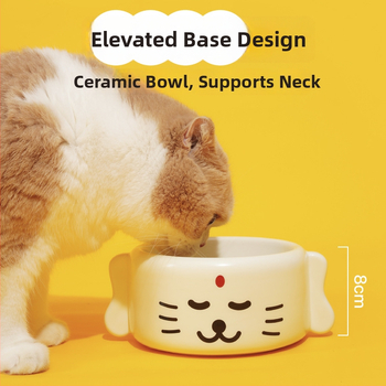 Κεραμικό μπολ για γάτες από την Purlab/Pupu Laboratory — 8 τεμάχια σε συσκευασία, εξοπλισμός σίτισης κατοικίδιων