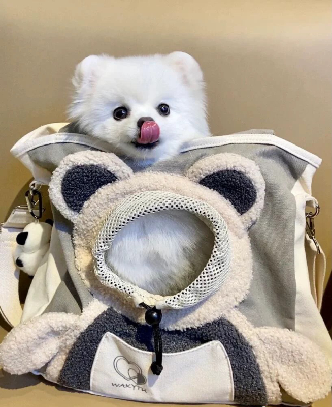 Hipani Oxford Torba za kućne ljubimce za mačke i male pse | crossbody preko ramena, uzorak životinja, kapaciteta do 4 kg