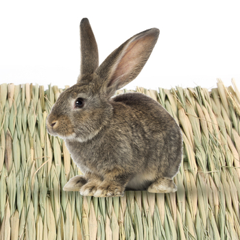 Chotaro Travnata Podloga za Kućne Ljubimce — višenamjenska podloga; Materijal: trava; Korištenje: Seat Cushion, Cage, Cottage, Pet Nest
