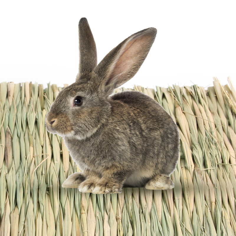 Chotaro Travnata Podloga za Kućne Ljubimce — višenamjenska podloga; Materijal: trava; Korištenje: Seat Cushion, Cage, Cottage, Pet Nest
