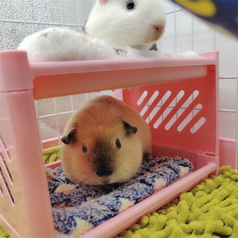 Kutno leglo za male kućne ljubimce, okrugli plastični dizajn, unutarnja upotreba, vodootporna, za hamster