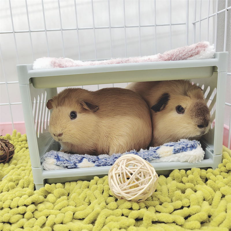 Kutno leglo za male kućne ljubimce, okrugli plastični dizajn, unutarnja upotreba, vodootporna, za hamster