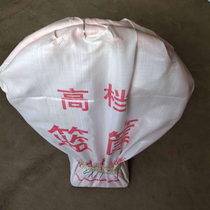 Vanjski standardni koš za košarku s dvostrukim oprugom, zidni montažni, čelična konstrukcija, 8 kg