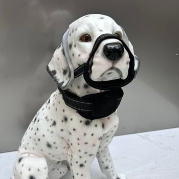 Σετ για σκύλο: μάσκα σκύλου και λουρί με ενσωματωμένο μηχανισμό καταστολής γαβγίσματος, αντοχή στην απόδραση, νυχτερινή ανακλαστικότητα, ρυθμιζόμενο, πολυεστέρας