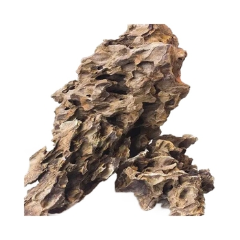 Kamen za krajinu u akvariju – kamen kore borovice, porijeklo Shandong Liaocheng, brend Naichong