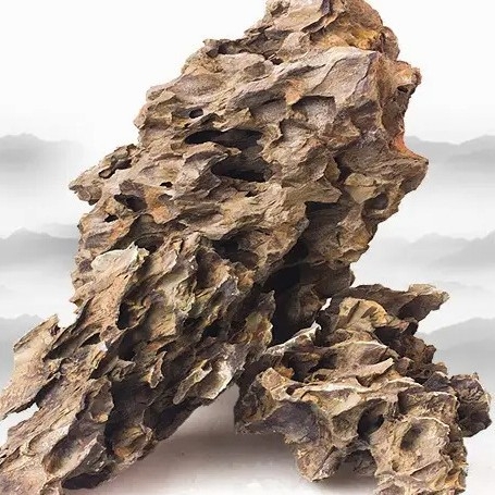 Kamen za krajinu u akvariju – kamen kore borovice, porijeklo Shandong Liaocheng, brend Naichong