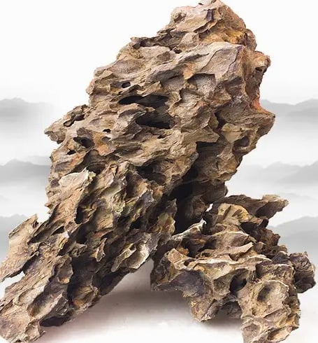 Kamen za krajinu u akvariju – kamen kore borovice, porijeklo Shandong Liaocheng, brend Naichong