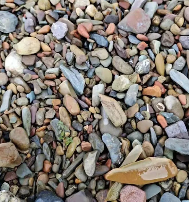 Kamen za krajinu u akvariju – kamen kore borovice, porijeklo Shandong Liaocheng, brend Naichong