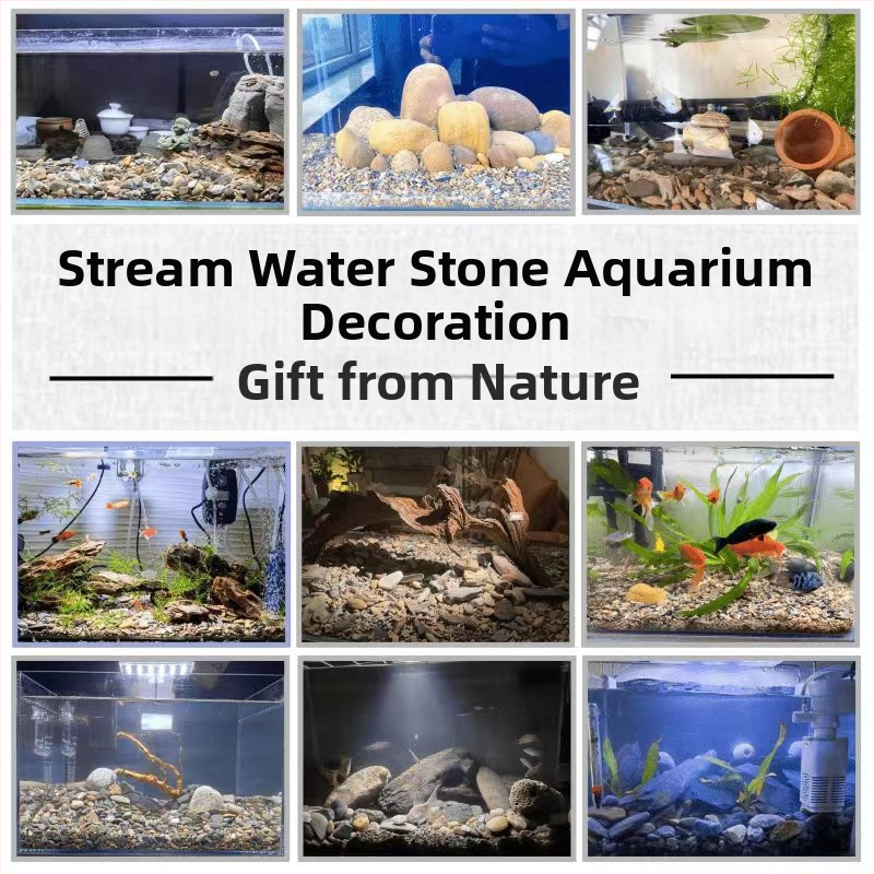 Kamen za krajinu u akvariju – kamen kore borovice, porijeklo Shandong Liaocheng, brend Naichong