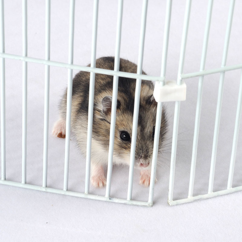 Žičana ograda za male kućne ljubimce (hamster) — osam dijelova, marka Sally, materijal: žica