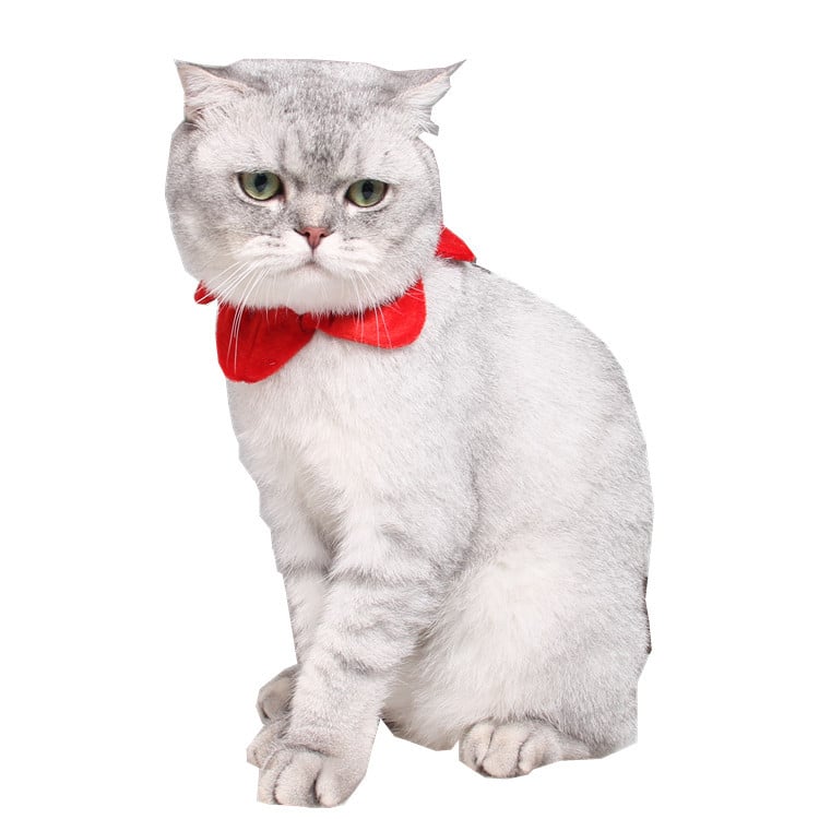 Totoro motivirani ogrlica za kućne ljubimce, božićna od poliestera, Elizabethan zaštitni prsten, brend Jizai