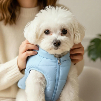 Téli vastag pamut mellény kis kutyáknak és macskáknak, modern minimalist stílus