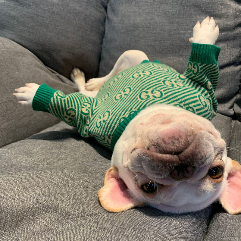 Pleten pulover za kućne ljubimce, marka MCDD, opušten stil, za pse i mačke