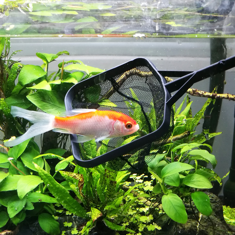 Ručna mreža za hvatanje riba u akvariju — plastična, oznaka SX, težina 0.3 kg, oprema za akvarij