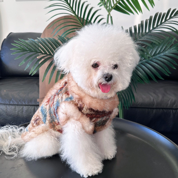 Kutyák és macskák számára készült őszi–téli kardigán mellény levehető pórázzal, poliészter anyag, Casual stílus, márka Liangchong (Pets), cikkszám 540, háziállat ruházat