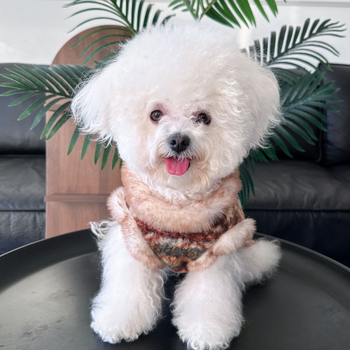 Kutyák és macskák számára készült őszi–téli kardigán mellény levehető pórázzal, poliészter anyag, Casual stílus, márka Liangchong (Pets), cikkszám 540, háziállat ruházat