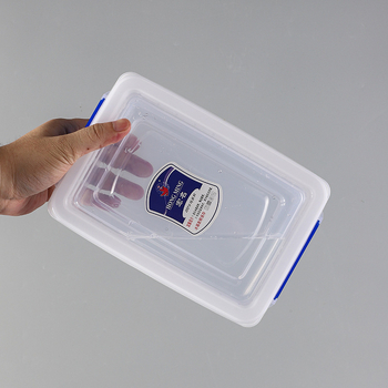 Plastična zamrzivačka kutija, vakuumsko brtvljenje za skladištenje i očuvanje svježine, kvadratnog oblika