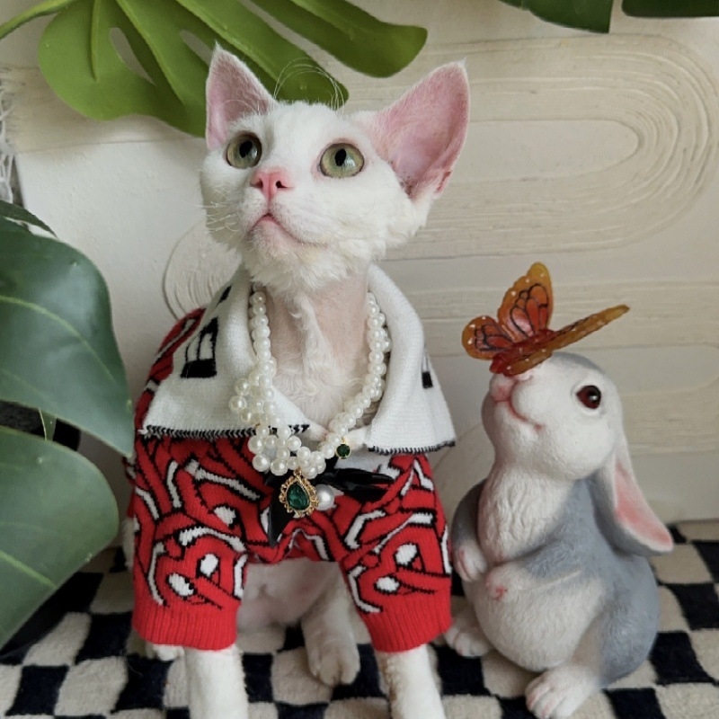 QIT vuneni džemper za kućne ljubimce, kod Y124, unisex, stil Japansko-Korejski