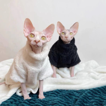 Háziállatoknak való kabát – Poliészter, Casual stílus, Univerzális fazon, Márka Pet Pagoda Shell