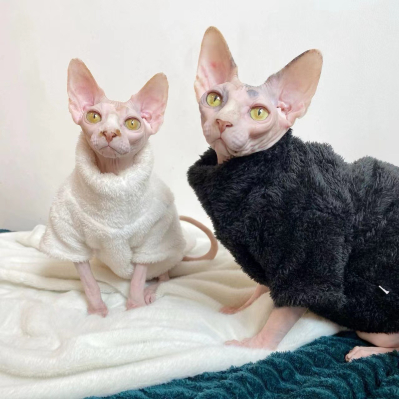 Háziállatoknak való kabát – Poliészter, Casual stílus, Univerzális fazon, Márka Pet Pagoda Shell