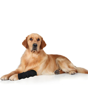 Kutyalábvédő, nyalogzás elleni védelem, ízületi stabilizáció, felépülési kötszer, diving anyag