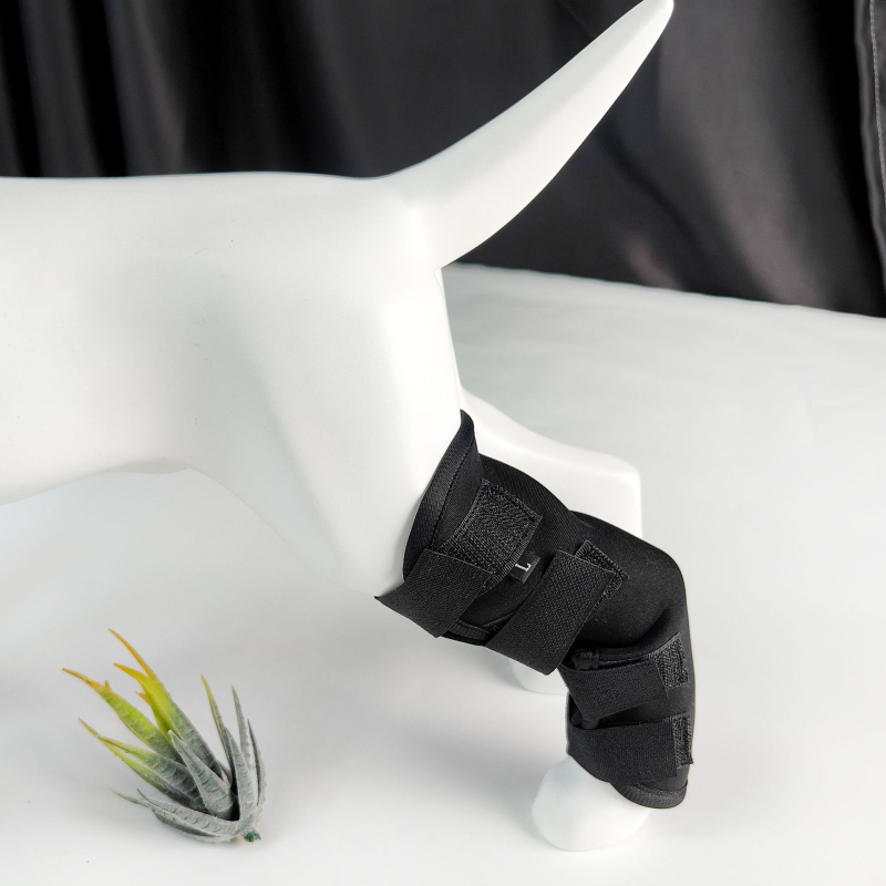 Kutyalábvédő, nyalogzás elleni védelem, ízületi stabilizáció, felépülési kötszer, diving anyag