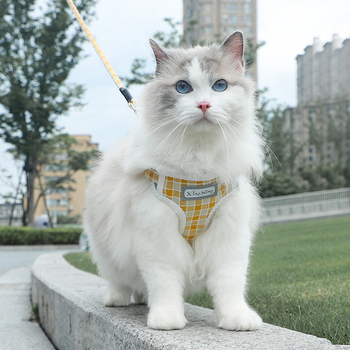 Prsni harnes za male pse s kariranim uzicom