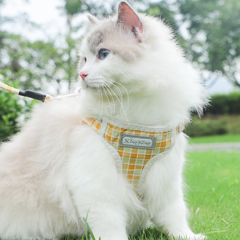 Prsni harnes za male pse s kariranim uzicom