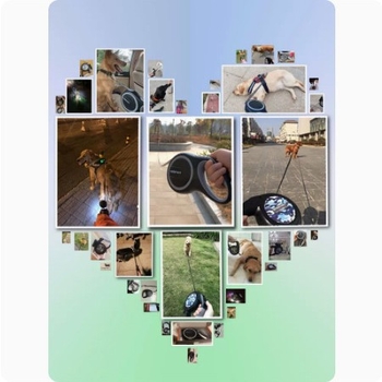 Lesă retractabilă din nylon pentru câini, Daoge, model PD9520770684088