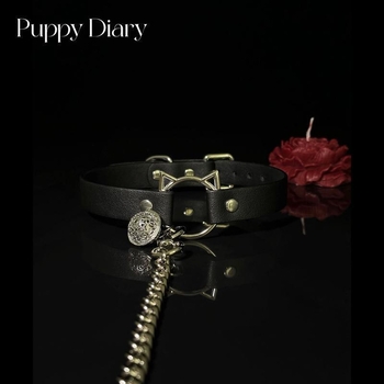 Kožni mačji ogrlica sa zvoncem i setom povodca