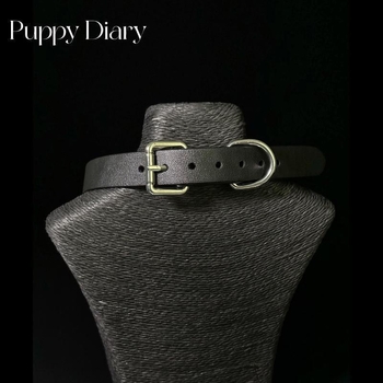 Kožni mačji ogrlica sa zvoncem i setom povodca