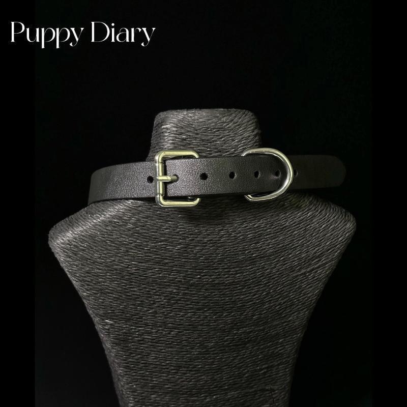 Kožni mačji ogrlica sa zvoncem i setom povodca