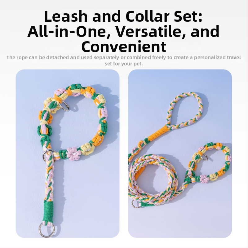 Set kaiša i ogrlice za mačku, ručno pleten, dvostruka regulacija, zaštita od kidanja, najlon – Sour bear