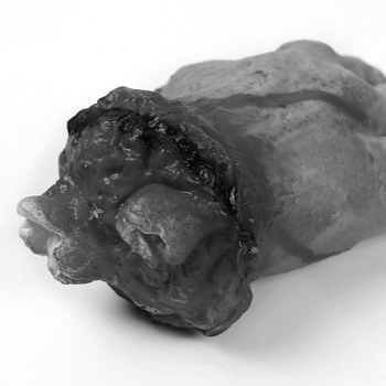 Rekvizite Halloween pentru casă bântuită, bar și camere de evadare: inimă falsă realistă, sânge fals, mână tăiată, picior tăiat