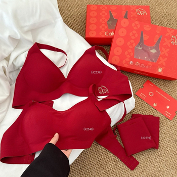 Set donjeg rublja za Godinu konja – najlon, 3/4 šalica, modelirane čašice: tanak gornji dio i debeli donji dio, fiksni dvostruki remeni, stražnje kopčanje s tri reda